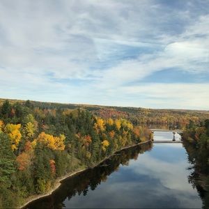 Meet your Posher, Shea